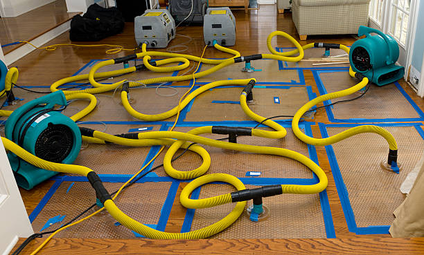 Professional Burst Pipe Water Damage technician working in Williamsburg, VA