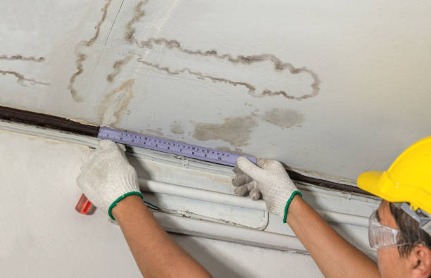 Affordable Water Damage Repair solutions in Williamsburg, VA